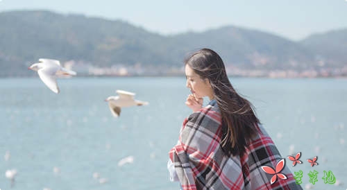 简单,就是幸福!