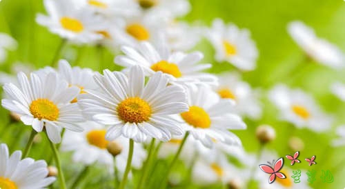 控制好情绪,快乐每一天