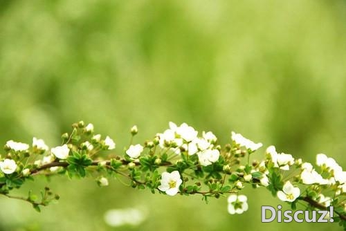 人生最大的修养是包容