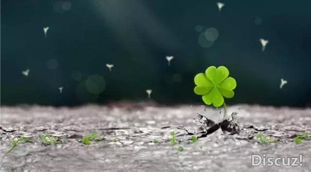 自己选择了方向与路途时,就不要抱怨