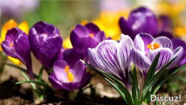 自己选择了方向与路途时,就不要抱怨