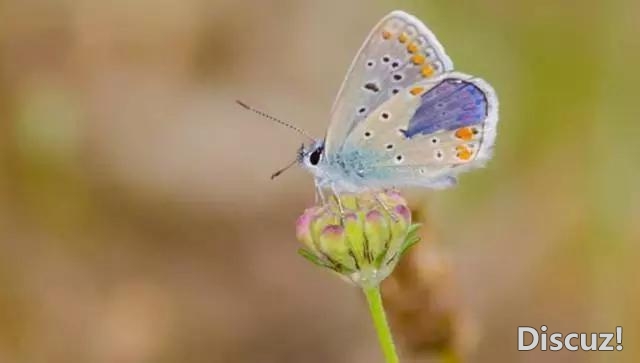 自己选择了方向与路途时,就不要抱怨