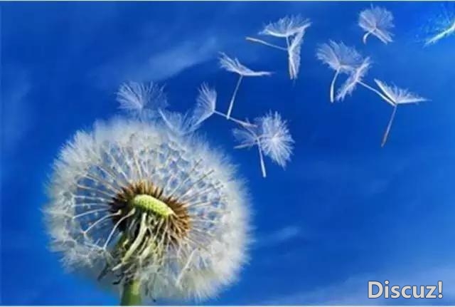 自己选择了方向与路途时,就不要抱怨