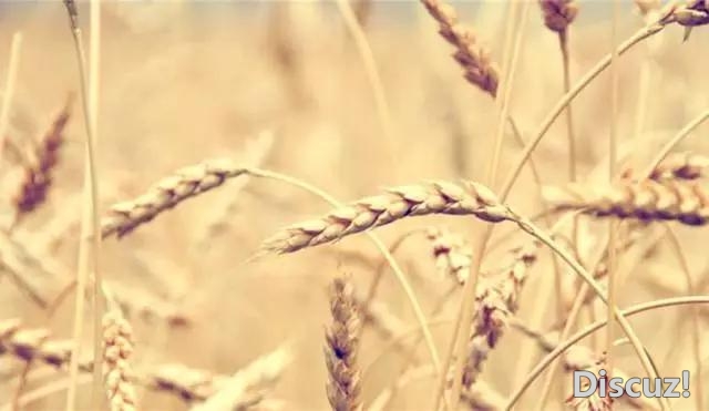 自己选择了方向与路途时,就不要抱怨