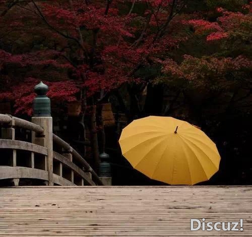 世界那么大,但我只在你面前纵情哭泣