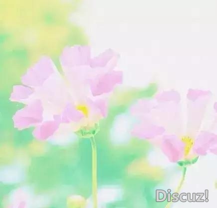 人生就像一杯茶, 会苦一阵子, 但不会苦一辈子