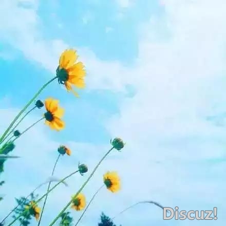 人生就像一杯茶, 会苦一阵子, 但不会苦一辈子