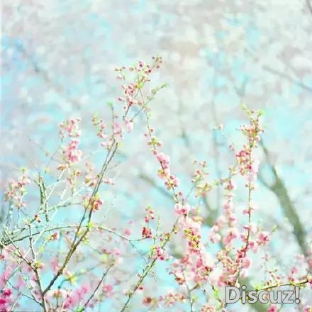 人生就像一杯茶, 会苦一阵子, 但不会苦一辈子