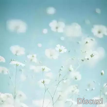 人生就像一杯茶, 会苦一阵子, 但不会苦一辈子