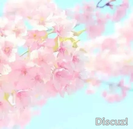 人生就像一杯茶, 会苦一阵子, 但不会苦一辈子