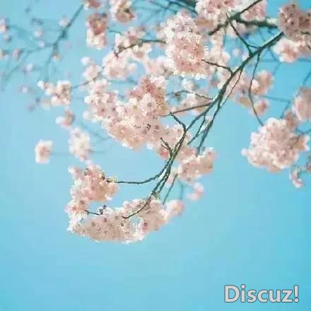 人生就像一杯茶, 会苦一阵子, 但不会苦一辈子