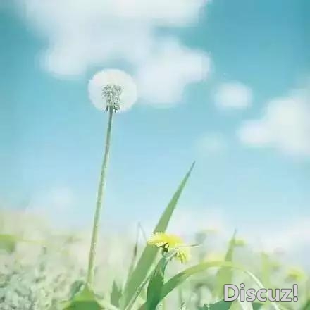 人生就像一杯茶, 会苦一阵子, 但不会苦一辈子