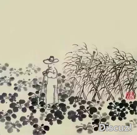 人总是看别人,不好好看自己