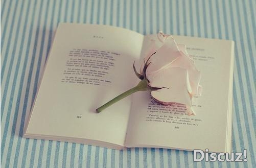 念你,于淡淡秋风中