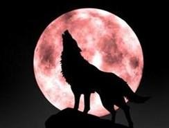 自己强大,才是资本!