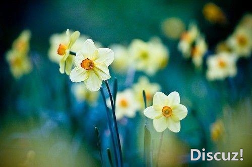 人生就是修行, 心清净,处境就美好了,心柔顺,一切就完美了