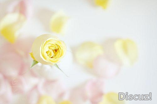 人生就是修行, 心清净,处境就美好了,心柔顺,一切就完美了