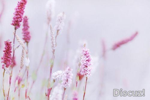 人生就是修行, 心清净,处境就美好了,心柔顺,一切就完美了