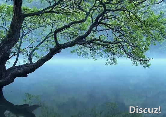 人到中年,放过自己