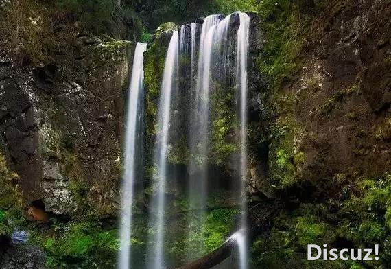 人到中年,放过自己