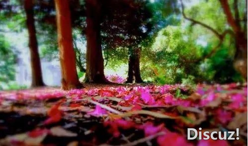 Уһһһ˫ˣѰ븡 (̫Ψ)