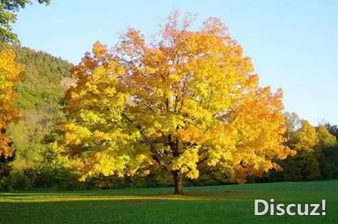 Уһһһ˫ˣѰ븡 (̫Ψ)